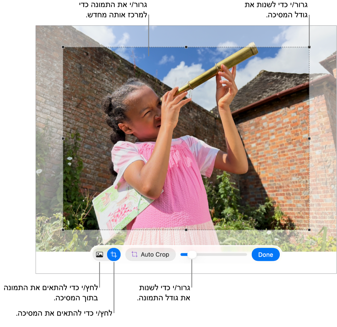 כלי הבקרה של מיסוך מעל תמונה.