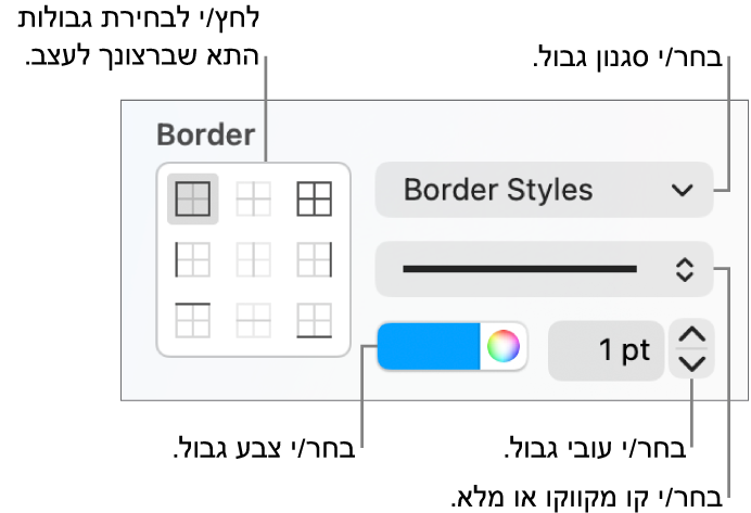 כלי הבקרה בסרגל הצד המיועדים לשינוי המראה של גבולות תאים.