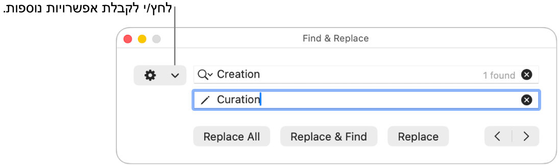 חלון ״חפש והחלף״ עם הסבר לגבי התפריט הקופצני שמציג אפשרויות נוספות.