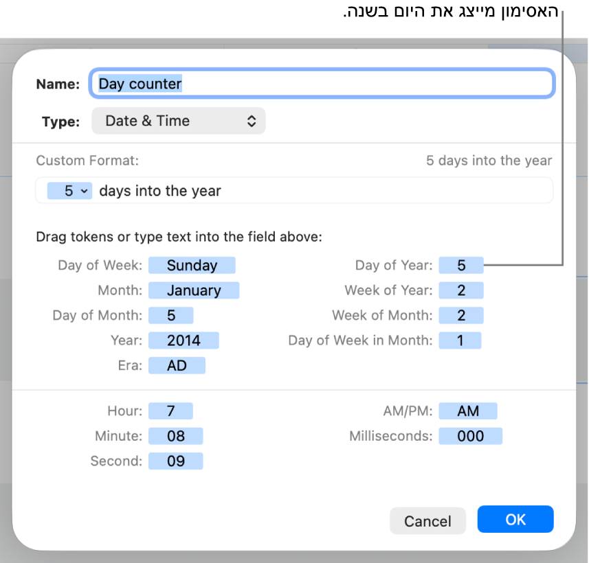 החלון של מבנה תא מותאם אישית עם כלי בקרה ליצירת מבנה תאריך ושעה מותאם אישית.