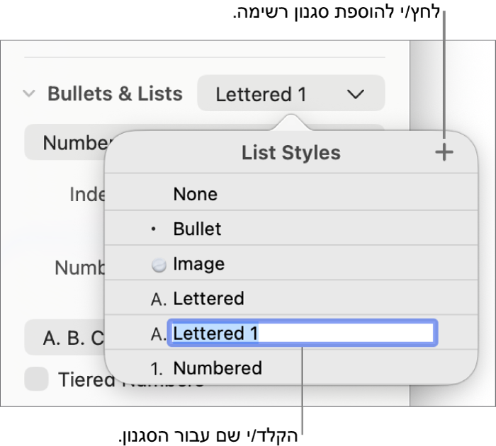 התפריט הקופצני ״סגנונות רשימה״ עם כפתור ״הוסף״ בפינה הימנית העליונה ושם של סגנון מציין מיקום כאשר המלל שלו נבחר.