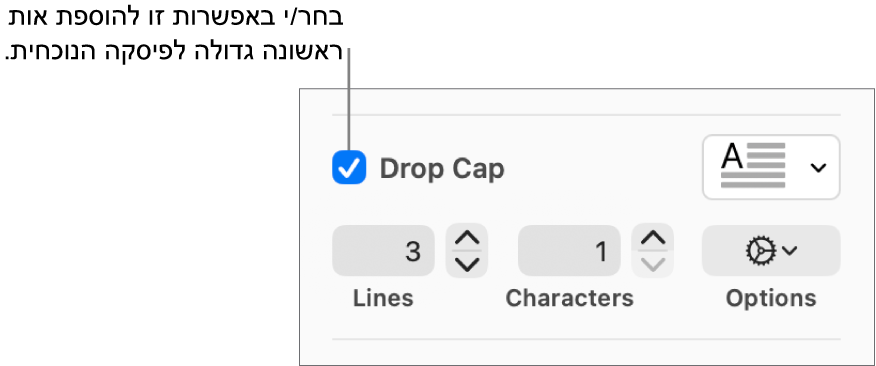 תיבת הסימון ״אות פתיח״ נבחרת, ותפריט קופצני מופיע משמאל; מתחת לתפריט, מופיעים כלי בקרה להגדרת גובה השורה, מספר התווים ואפשרויות נוספות.
