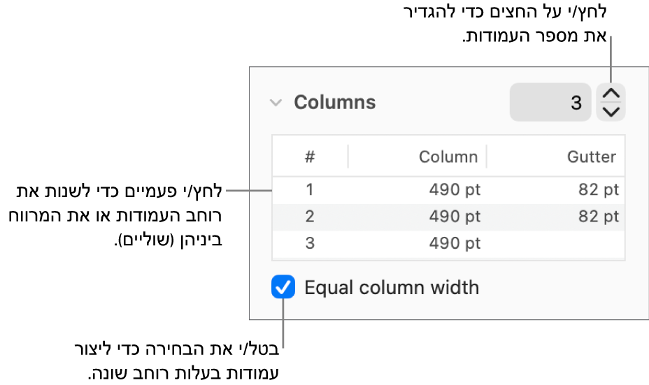 כלי בקרה במקטע העמודות לשינוי מספר העמודות והרוחב של כל עמודה.