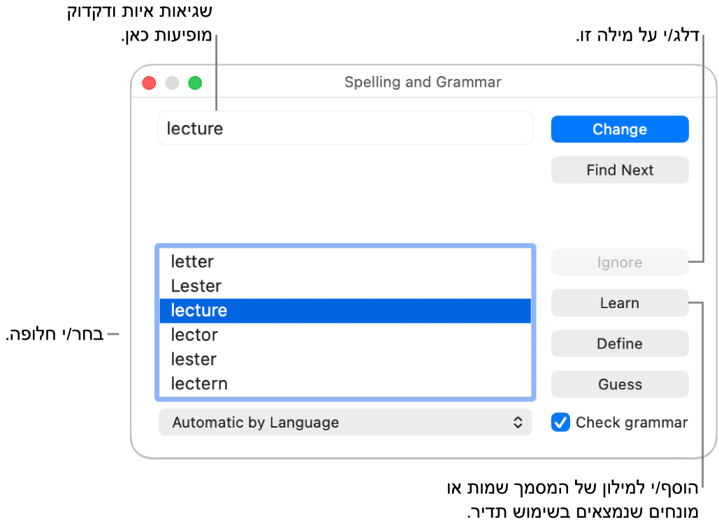 החלון ״איות ודקדוק״.