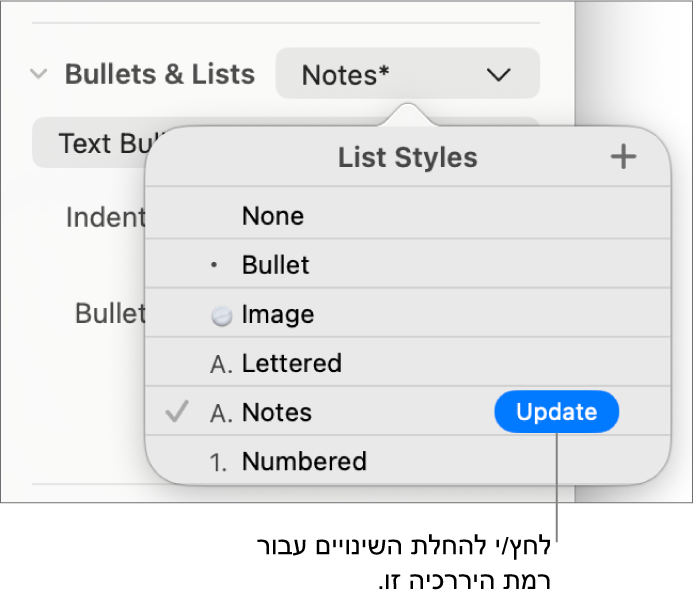 התפריט הקופצני ״סגנונות רשימה״ עם כפתור ״עדכן״ בסמוך לשמו של הסגנון החדש.