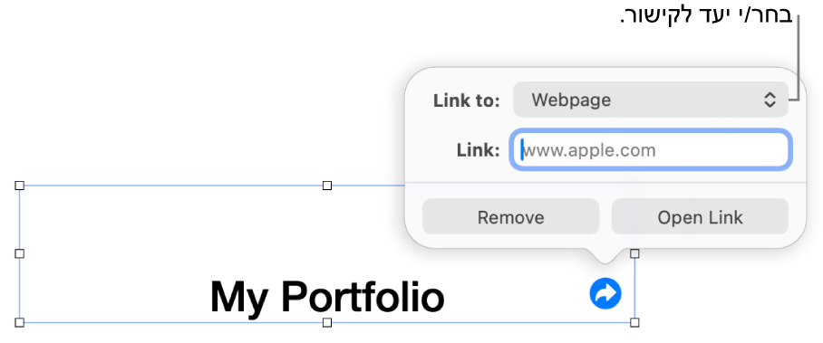 כלי הבקרה של עורך הקישורים כאשר האפשרות ״עמוד אינטרנט״ נבחרת ובחלק התחתון מוצגים הכפתורים ״הסר״ ו״פתח קישור״.