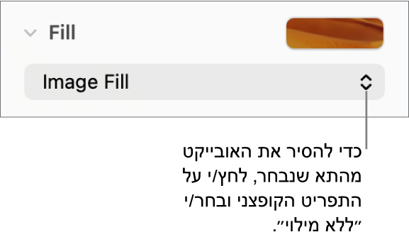 כלי הבקרה להסרת אובייקט מהתא שנבחר.