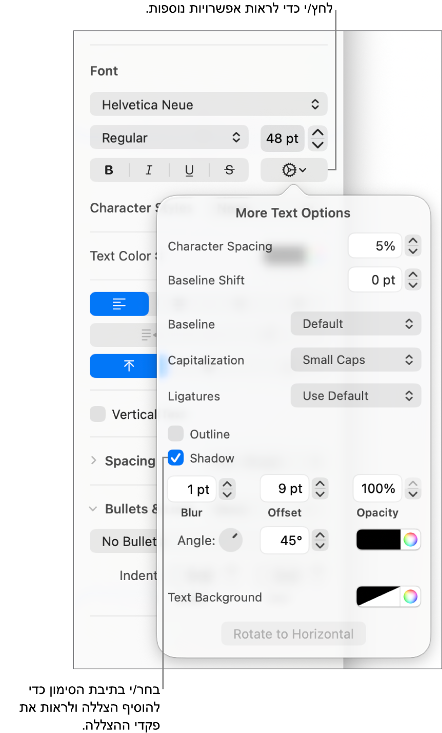 חלון ״אפשרויות מתקדמות״, כאשר תיבת הסימון ״הצללה״ נבחרת ומוצגים כלי בקרה להגדרת טשטוש, היסט, אטימות, זווית וצבע.