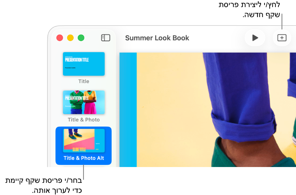 פריסת שקף מוצגת באזור פריסת השקפים, עם הכפתור ״הוסף שקף״ מעליה בסרגל הכלים.