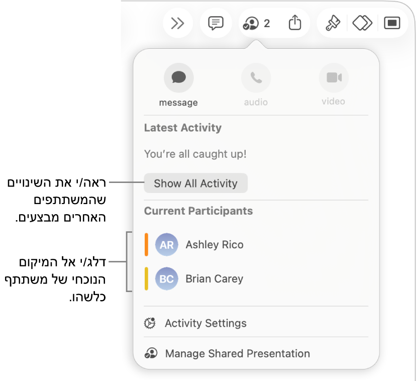 תפריט ״שיתוף פעולה״ שרואים בו שני משתתפים פעילים כעת.