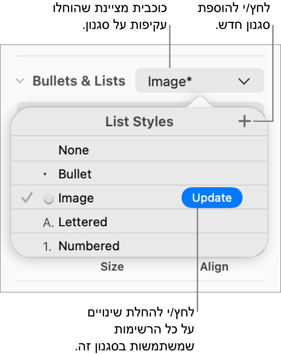 התפריט הקופצני ״סגנונות רשימה״ עם כוכבית המציינת החלפה, הסבר לכפתור ״סגנון חדש״ ותפריט משנה עם אפשרויות לניהול סגנונות.