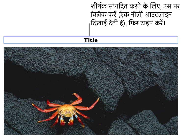 प्लेसहोल्डर शीर्षक, “शीर्षक” तस्वीर के नीचे दिखाई देता है; यह चयनित है दिखाने के लिए शीर्षक फ़ील्ड के चारों तरफ़ एक नीली आउटलाइन दिखाई देती है।