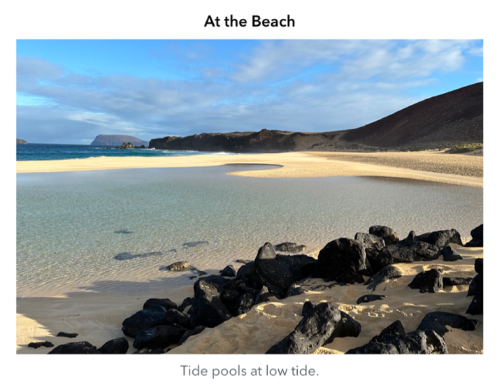 शीर्षक और कैप्शन के साथ ऑब्जेक्ट।