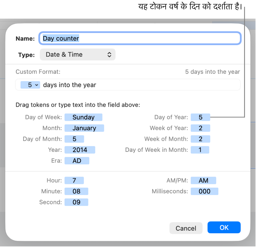 कस्टम तिथि और समय फ़ॉर्मैट बनाने के लिए नियंत्रणों वाली कस्टम सेल फ़ॉर्मैट विंडो