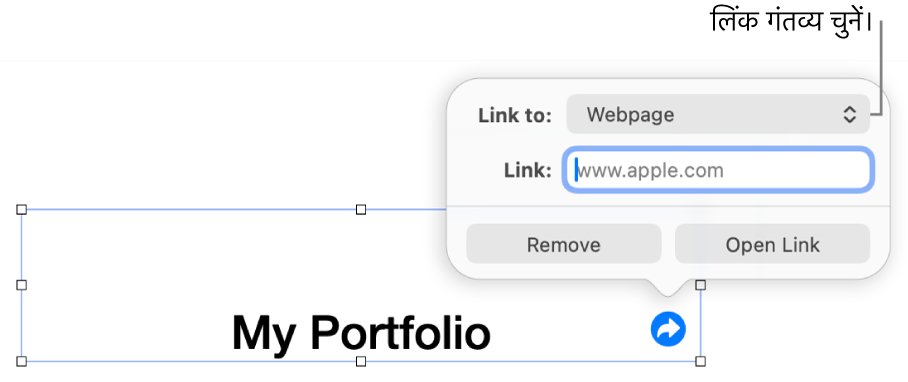 चुने गए वेबपृष्ठ के साथ लिंक संपादक नियंत्रण और सबसे नीचे “लिंक हटाएँ” और “लिंक खोलें” बटन।
