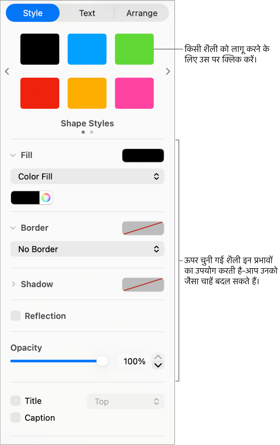 साइडबार के “फ़ॉर्मैट करें” सेक्शन में आकृति शैलियाँ और विकल्प।