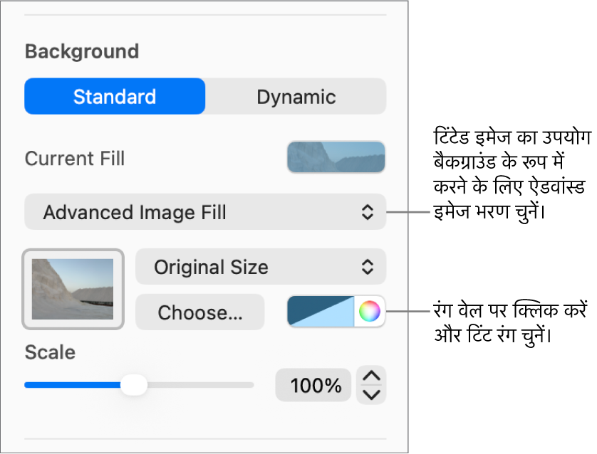 बैकग्राउंड नियंत्रण, जिनमें टिंट किए गए एडवांस इमेज भरण को स्लाइड बैकग्राउंड के रूप में सेट किया गया है।