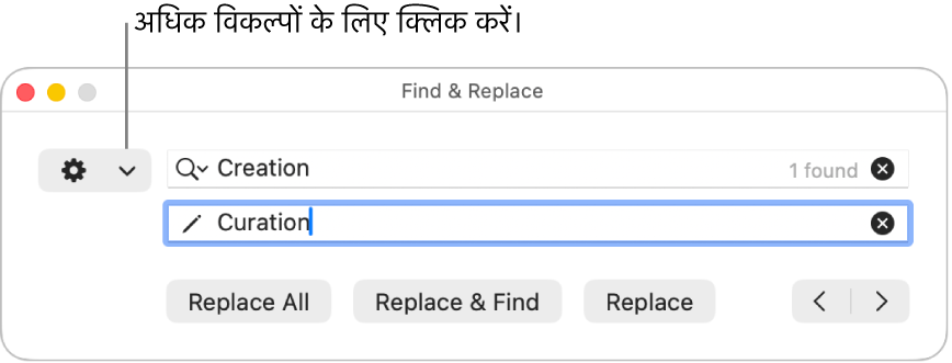 “ढूँढें और बदलें” विंडो जिसमें अधिक विकल्पों को दिखाने के लिए पॉप-अप मेनू में कॉलआउट है।