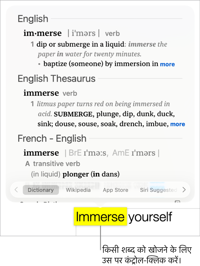 चिह्नांकित शब्द वाले टेक्स्ट और उसकी डेफ़िनिशन और एंट्री कोश दिखाने वाली विंडो। विंडो के नीचे दिए गए दो बटन द्वारा शब्दकोश और विकिपीडिया के लिंक उपलब्ध कराई जाती हैं।