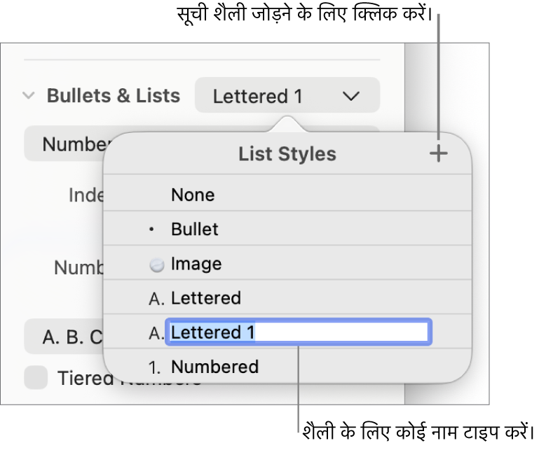 शीर्ष-दाएँ कोने में “जोड़ें” बटन के साथ “सूची शैली” मेनू और अपने चुने गए टेक्स्ट के साथ एक प्लेसहोल्डर शैली नाम।
