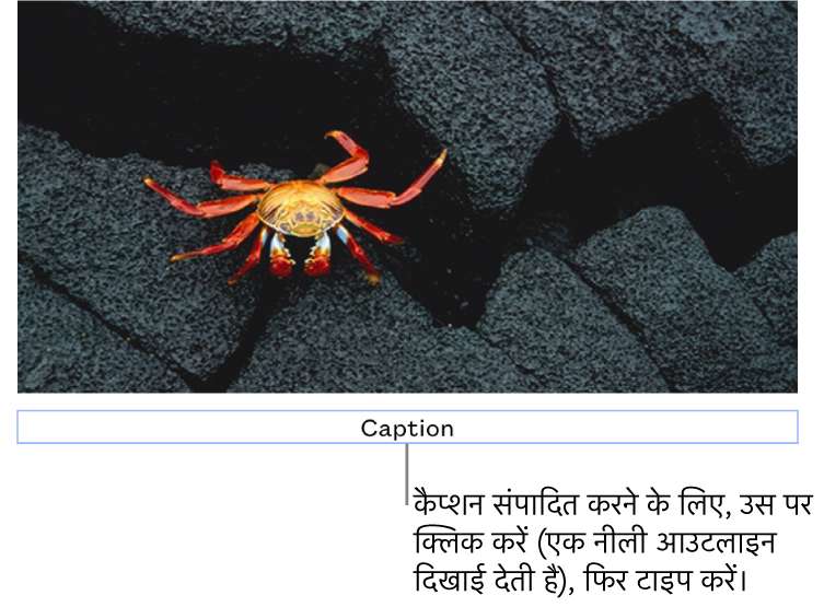 प्लेसहोल्डर कैप्शन, “कैप्शन” तस्वीर के नीचे दिखाई देता है; यह चयनित है दिखाने के लिए कैप्शन फ़ील्ड के चारों तरफ़ एक नीली आउटलाइन दिखाई देती है।
