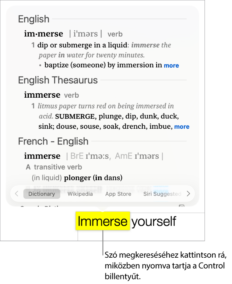 Szöveg, amelyben egy szó ki van emelve, és egy ablak, amely a definíciót és a Wikipédia-bejegyzést jeleníti meg. A két gomb az ablak alján a szótárra és a Wikipédiára mutató hivatkozást tartalmazza.