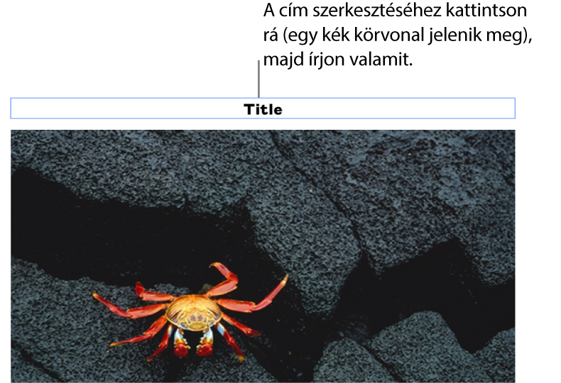 A helyőrző cím „Cím” egy fotó alatt látható, míg a cím mező körül látható kék körvonal azt jelzi, hogy a mező ki van jelölve.