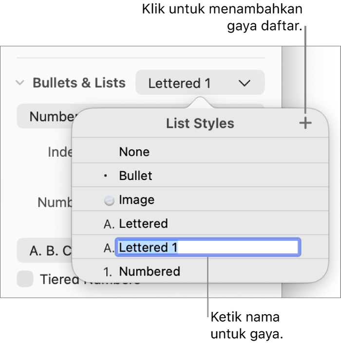 Menu pop-up Gaya Daftar dengan tombol Tambah di pojok kanan atas dan nama gaya placeholder dengan teksnya dipilih.