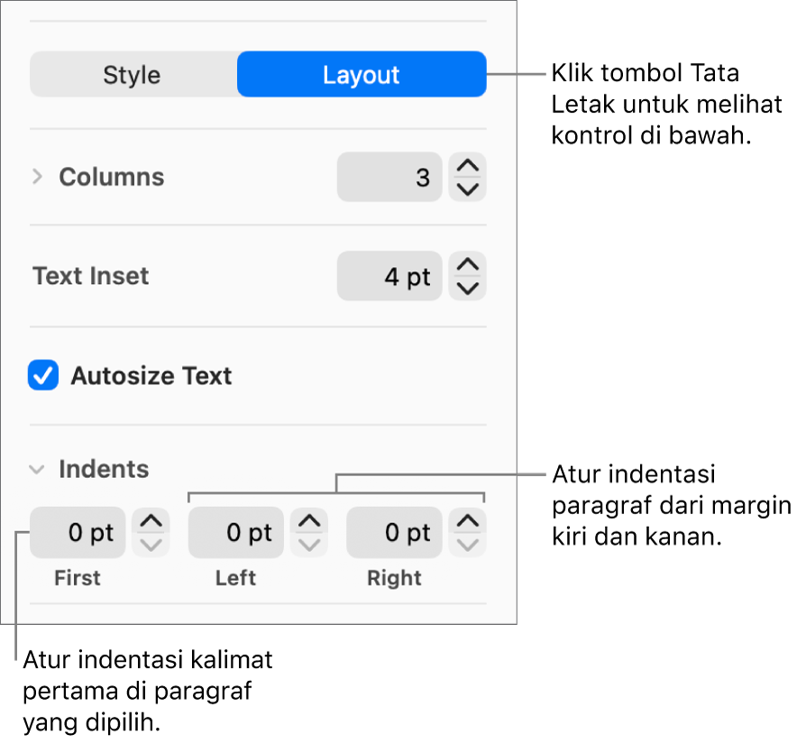 Bagian Tata Letak pada bar samping Format menampilkan kontrol untuk mengatur indentasi baris pertama dan margin paragraf.