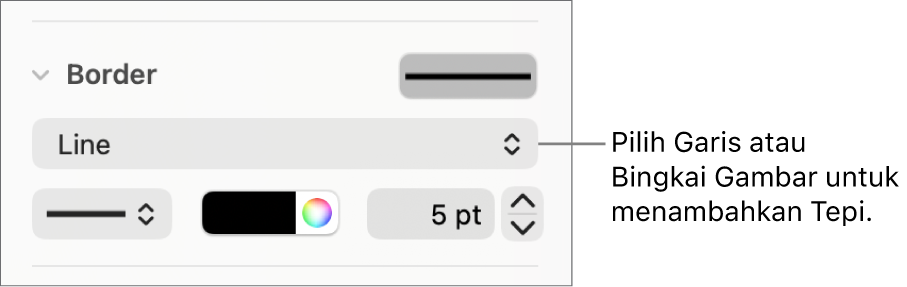 Kontrol gaya Tepi di bar samping Format dengan Garis dipilih sebagai jenis tepi.
