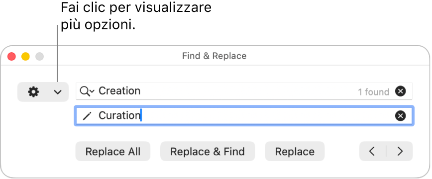 La finestra “Trova e sostituisci” con una didascalia per il menu a comparsa che consente di visualizzare più opzioni.