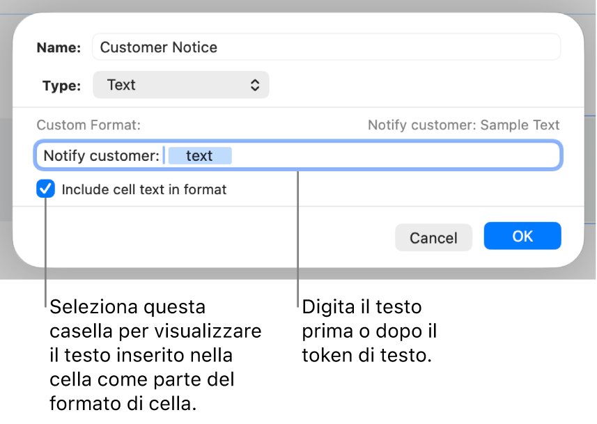 Formato di celle di testo personalizzato.