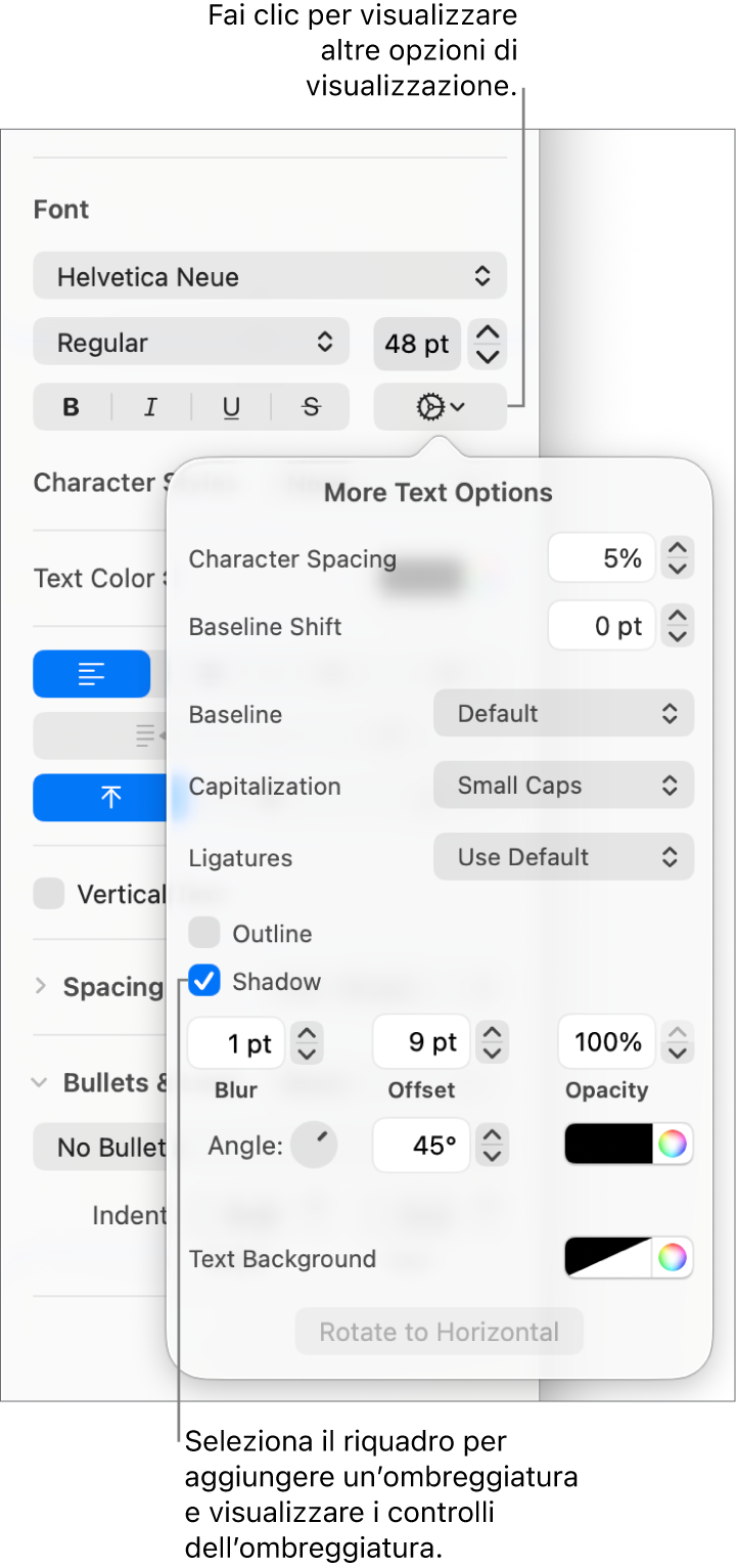 Le Opzioni avanzate aperte con il riquadro Ombreggiatura selezionato e i controlli per impostare la sfocatura, l’offset, l’opacità, l’angolazione e il colore.