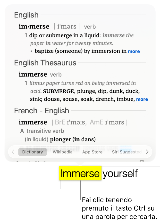 Testo con una parola evidenziata e una finestra che mostra la sua definizione e un sinonimo. Due pulsanti nella parte inferiore della finestra forniscono i link al dizionario e a Wikipedia.
