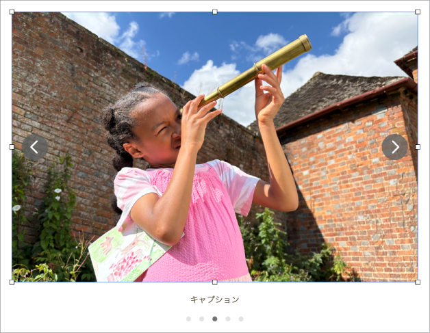 5個の画像が含まれている画像ギャラリーオブジェクト。下にキャプション、画像の左側と右側にナビゲーション矢印が表示されています。