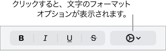 「ボールド」、「イタリック」、「アンダーライン」、および「取り消し線」ボタンの隣にある「詳細オプション」ボタン。