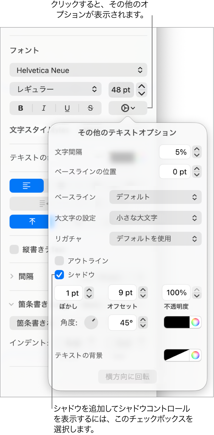 開いている「詳細オプション」。「シャドウ」チェックボックスが選択され、ぼかし、オフセット、不透明度、角度、およびカラーを設定するためのコントロールがあります。