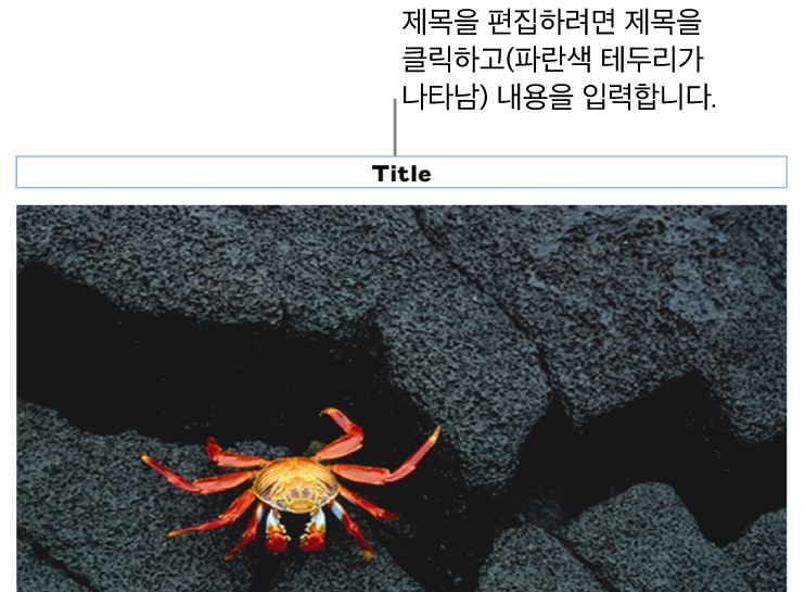 사진 아래에 ‘제목’이라고 나타나는 위치 지정자 제목. 제목 필드 주위의 파란색 윤곽선은 선택되었음을 나타냄.