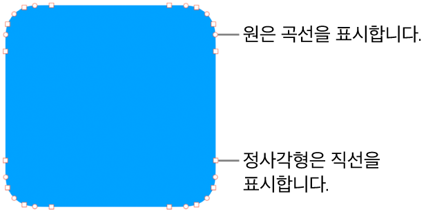 편집 가능한 점이 있는 도형.