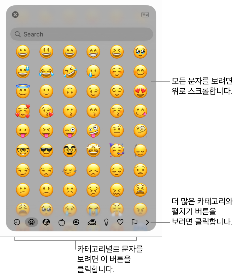 이모티콘, 하단에 있는 다양한 유형의 기호에 대한 버튼 및 전체 문자 윈도우를 표시하는 버튼에 대한 설명을 표시하는 특수 문자 팝업.