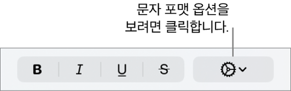볼드체, 이탤릭체, 밑줄체 버튼 옆에 있는 고급 옵션 버튼.