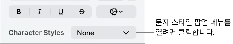 텍스트 스타일 및 색상 변경 제어기 아래에 있는 문자 스타일 팝업 메뉴.