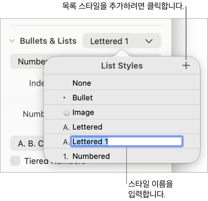 오른쪽 상단 모서리에 추가 버튼이 있는 목록 스타일 팝업 메뉴와 텍스트가 선택된 위치 지정자 스타일 이름.
