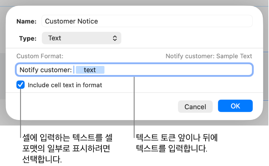 사용자 텍스트 셀 포맷.