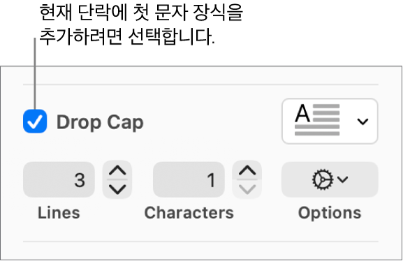 ‘단락의 첫 문자 장식’ 체크상자가 선택되어 있고 그 오른쪽에 팝업 메뉴가 나타남. 그 아래에는 줄 높이, 문자 수 및 기타 옵션을 설정하는 제어기가 있음.