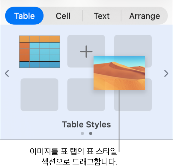 이미지를 표 스타일로 드래그하여 새로운 스타일 생성.