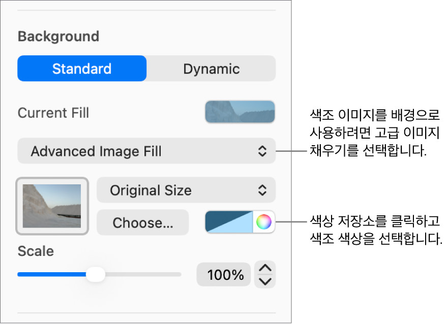 색조 고급 이미지 채우기가 슬라이드 배경으로 설정된 배경 제어기.