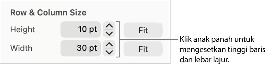 Kawalan untuk mengesetkan saiz baris atau lajur yang tepat.