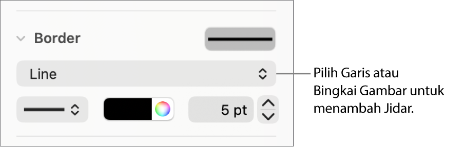 Kawalan gaya Jidar dalam bar sisi Format, dengan Garis dipilih sebagai jenis jidar.