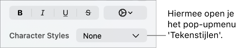 Het pop‑upmenu 'Tekenstijlen' onder regelaars voor het wijzigen van de tekststijl en kleur.